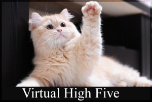Résultat de recherche d'images pour "virtual high five"